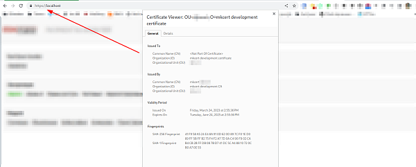 https-dlya-lokalnoy-razrabotki-dev-okruzheniya-doc-3.png